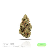PUFFY Sour OG is a balanced hybrid THCa strain, born from the cross of Sour Diesel and OG Kush. The aroma is a bold blend of chemical undertones, pungent diesel, and a distinctly gassy note. Visually striking, these dense buds feature deep green tones with purple accents, dotted with orange pistils and a sparkling trichome coating. Consumers often report an initial euphoric head high that gradually flows into a soothing, relaxed body sensation, leaving them feeling blissful, sociable, and energized. 
