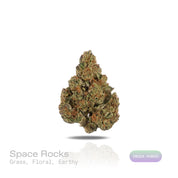 PUFFY Space Rocks is an indica-dominant hybrid THCa strain, born from the flavorful union of Space Queen and Rocky Mountain Blueberry. The aroma is a blend of fresh grass, delicate floral notes, and a grounding earthy undertone. Visually, the buds are dense and vibrant, with blue-green tones, orange pistils, and a frosty trichome coating. Consumers often report an uplifting cerebral buzz that sparks happiness, creativity, and energy, followed by a gentle, calming body effect that promotes relaxation.
