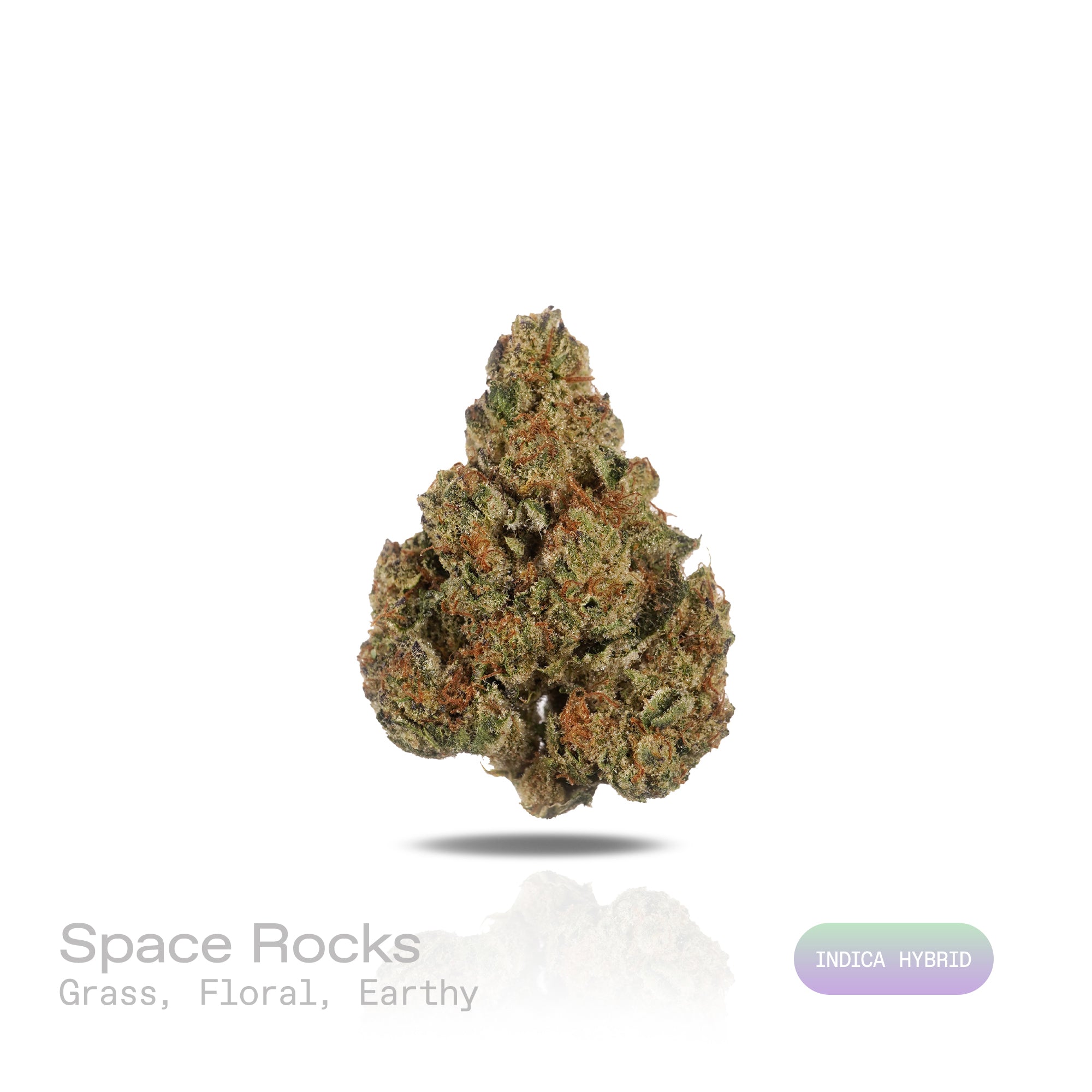 PUFFY Space Rocks is an indica-dominant hybrid THCa strain, born from the flavorful union of Space Queen and Rocky Mountain Blueberry. The aroma is a blend of fresh grass, delicate floral notes, and a grounding earthy undertone. Visually, the buds are dense and vibrant, with blue-green tones, orange pistils, and a frosty trichome coating. Consumers often report an uplifting cerebral buzz that sparks happiness, creativity, and energy, followed by a gentle, calming body effect that promotes relaxation.
