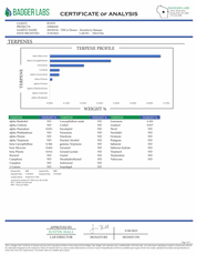 PUFFY Strawberry Banana is an  indica-dominant THCa strain result of crossing Crockett’s Banana Kush with the Strawberry phenotype of Bubble Gum. Aroma bursts with a harmonious blend of fruity and juicy notes, enriched by subtle earthy undertones, layered with a sweet, creamy finish. Visually buds dazzle with vibrant green and deep purple hues, bright orange hairs, and a frosty coat of amber trichomes that sparkle with potency. Consumers report that it delivers a blissfully happy and peaceful high, known fo