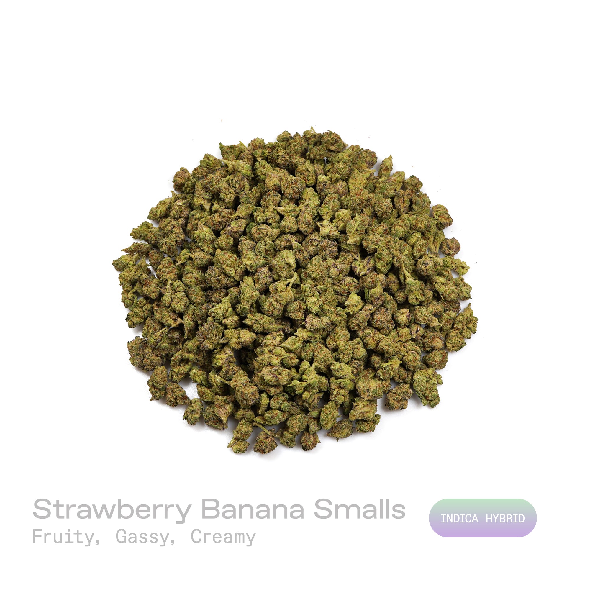 PUFFY Strawberry Banana (smalls) is an  indica-dominant THCa strain, result of crossing Crockett’s Banana Kush with the Strawberry phenotype of Bubble Gum.The aroma bursts with a rich fusion of fruity sweetness, smooth creamy notes, and a bold gassy kick that creates a perfectly balanced and irresistible scent profile. Visually buds dazzle with vibrant green and deep purple hues, bright orange hairs, and a frosty coat of amber trichomes. Consumers report a blissfully happy and peaceful high that enhances cr
