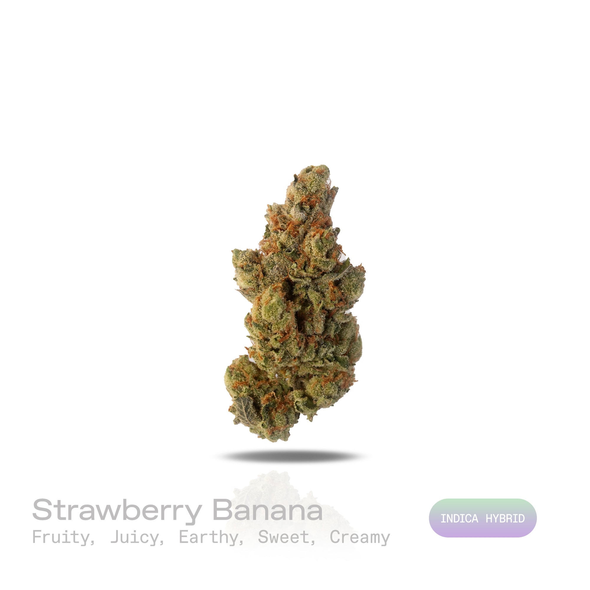 PUFFY Strawberry Banana is an  indica-dominant THCa strain result of crossing Crockett’s Banana Kush with the Strawberry phenotype of Bubble Gum. Aroma bursts with a harmonious blend of fruity and juicy notes, enriched by subtle earthy undertones, layered with a sweet, creamy finish. Visually buds dazzle with vibrant green and deep purple hues, bright orange hairs, and a frosty coat of amber trichomes that sparkle with potency. Consumers report that it delivers a blissfully happy and peaceful high, known fo