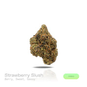 PUFFY Strawberry Slush is a potent hybrid THCa strain born from the powerful cross between XJ13 and Strawnana. Aroma opens with a vibrant burst of sweet, ripe berries, layered with a sugary richness and finished by a bold, gassy undertone that adds depth and intensity. Visually, dense green buds with purple hues and fiery orange pistils are coated in sticky trichomes. Consumers often report uplifting, energetic, and creative effects, bringing a relaxed, euphoric, and calming body feel, with many experiencin