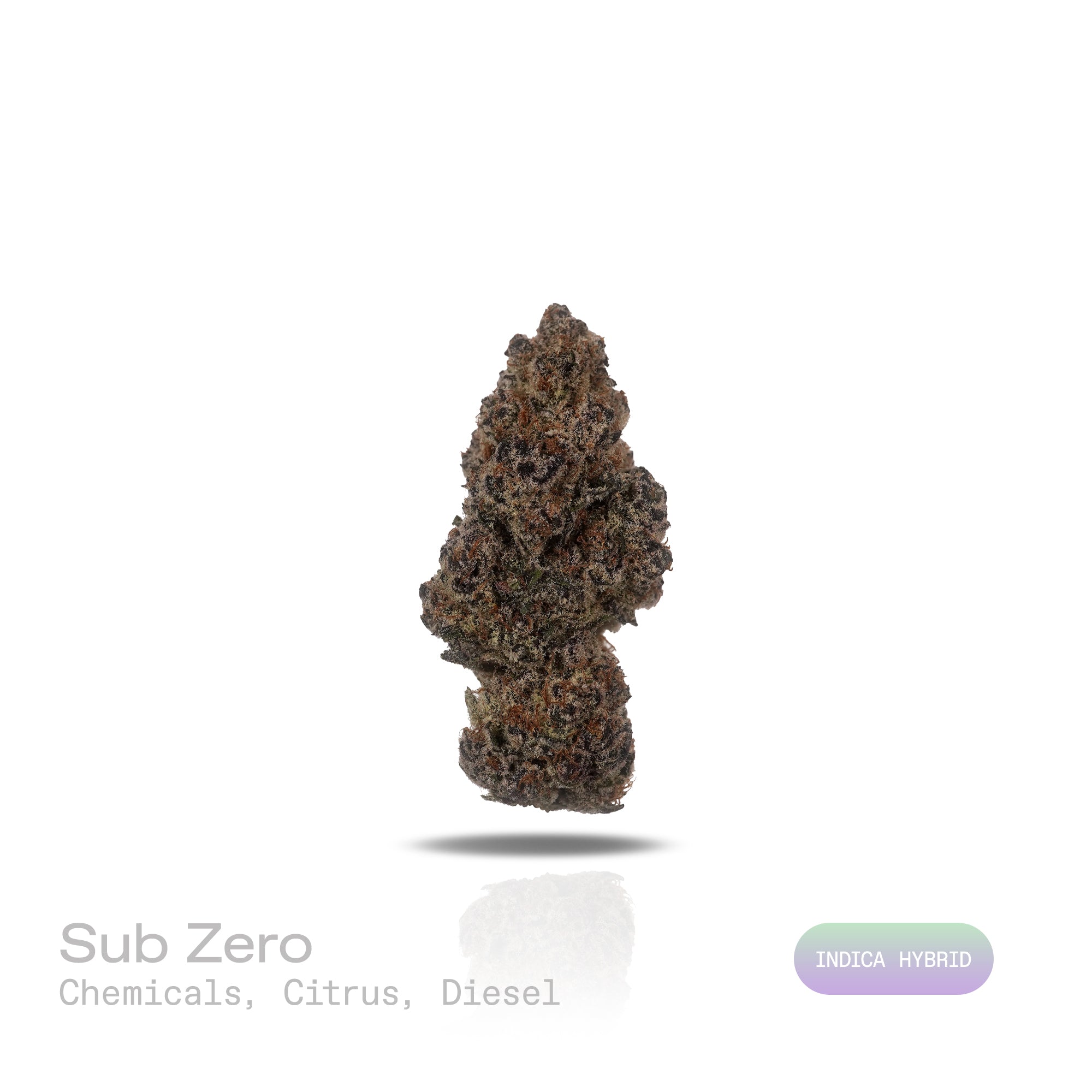 PUFFY Sub Zero is an indica-dominant hybrid THCa strain, often bred from legendary parents like Northern Lights and White Widow. The aroma is a sharp and invigorating blend of pungent chemical notes, zesty citrus, and the unmistakable fuel-like essence of diesel. Visually dense, frosty buds showcasing deep green hues coated in icy white trichomes, accented by vibrant orange or amber pistils. Consumers often describe its high as deeply soothing, cozy, and euphoric, making it an excellent choice for melting a