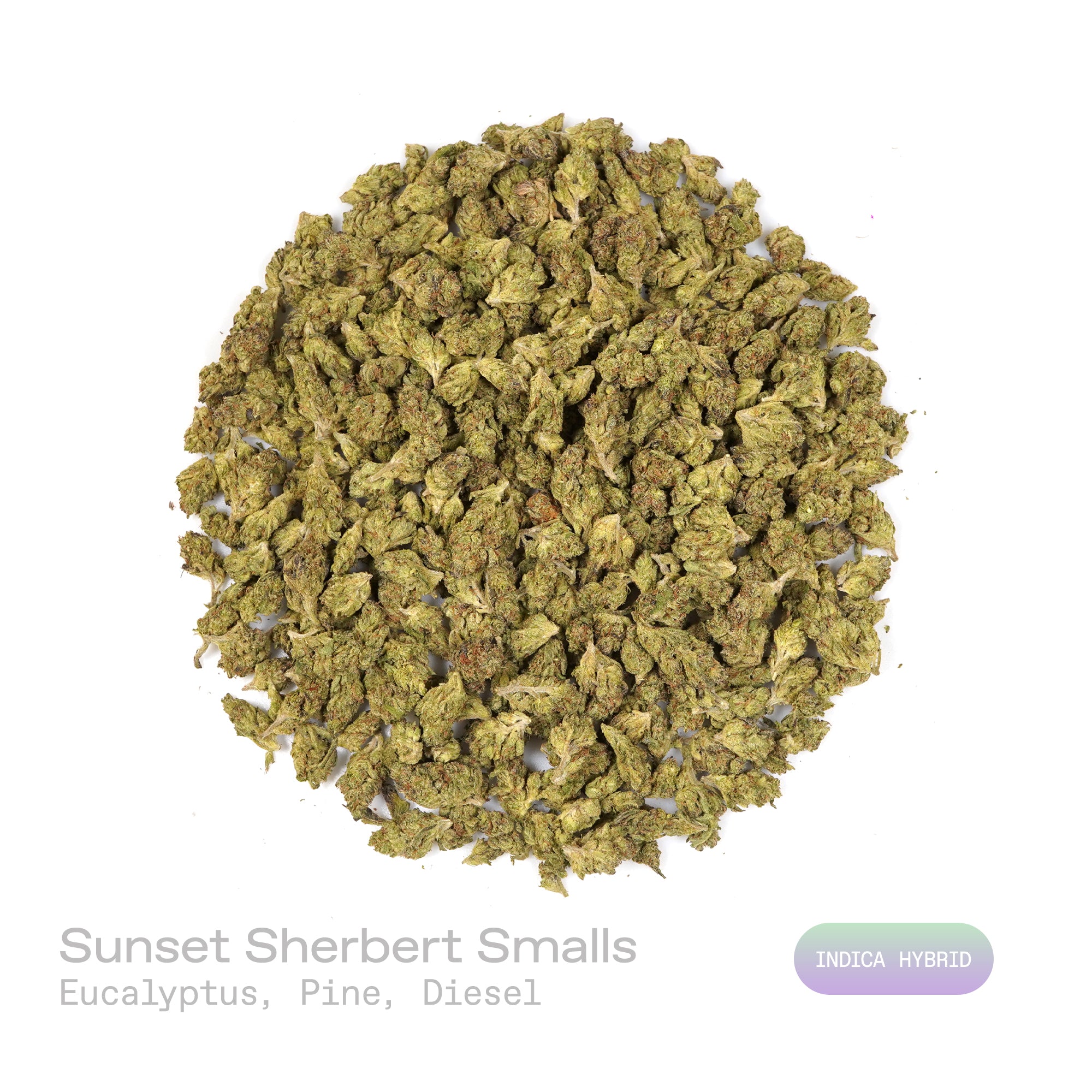 PUFFY Sunset Sherbert (smalls) is an indica-dominant hybrid THCa strain, crafted from the celebrated cross of Girl Scout Cookies (GSC) and Pink Panties. The aroma opens with sharp eucalyptus, layered with fresh pine and underscored by a subtle hint of diesel. Visually, dense bright green buds with purple hues and fiery orange pistils are coated in sticky trichomes. Consumers often report a balanced high that combines an uplifting, euphoric, and creative mental buzz with relaxing, calming body effects.