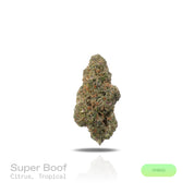 PUFFY Super Boof is a balanced hybrid THCa strain created by crossing Black Cherry Punch and Tropicana Cookies. The aroma bursts with bright citrus notes layered over a sweet, tropical essence. Visually, it features dense, spade-shaped buds in vibrant olive green, accented with fiery orange hairs and coated in a frosty layer of trichomes. Consumers often report effects that are uplifting, euphoric, and creatively stimulating, while also providing a sense of relaxation and mental focus.
