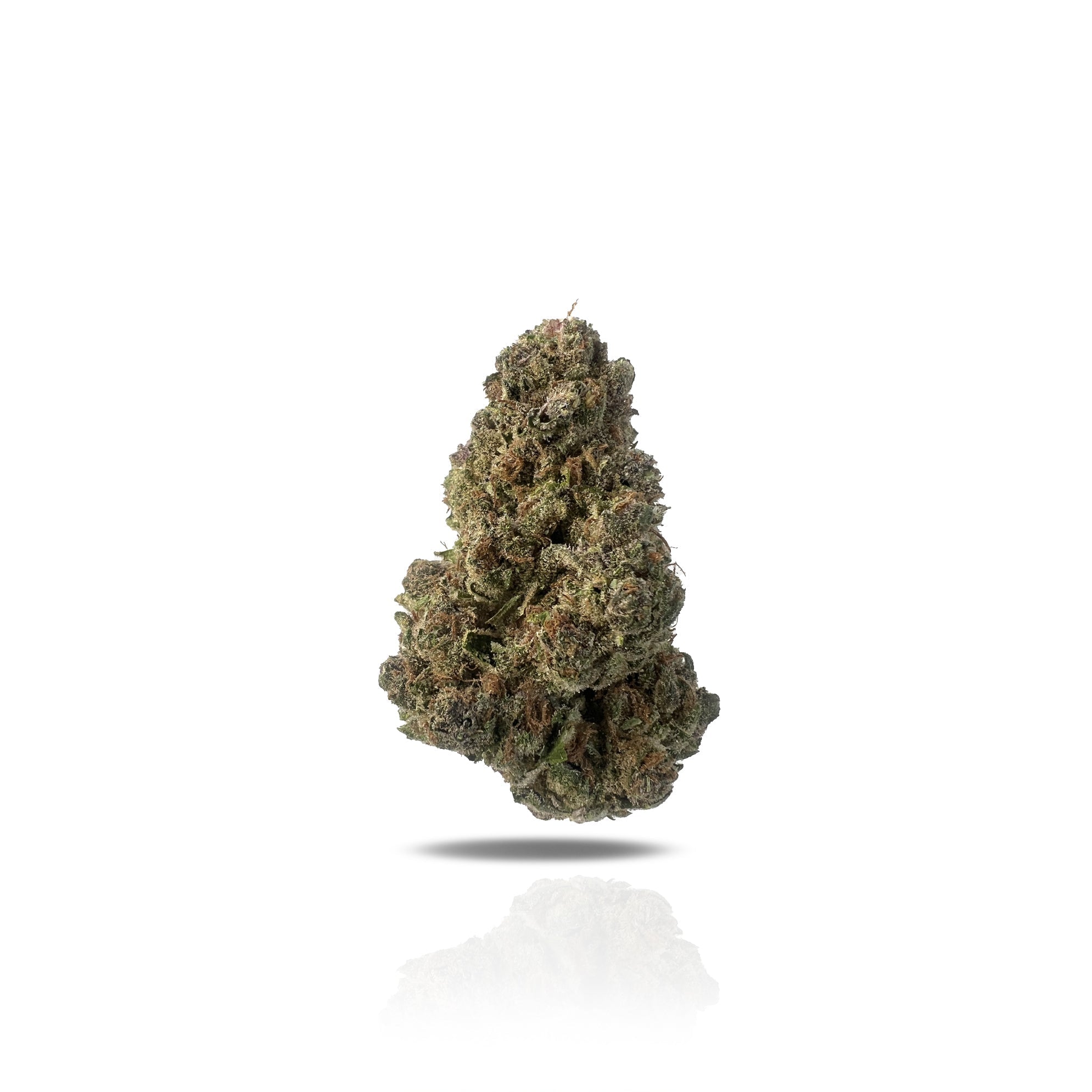 PUFFY Super Boof THCa is a balanced hybrid strain created by crossing Black Cherry Punch and Tropicana Cookies. It delivers a rich and complex flavor profile, starting with an earthy cherry base and layered with bright tangerine, sweet honeysuckle, and juicy raspberry undertones. The aroma bursts with notes of tropical fruit, ripe cherries, and zesty grapefruit, creating a vibrant and refreshing scent profile. Visually, it features dense, spade-shaped buds in vibrant olive green, accented with fiery orange 