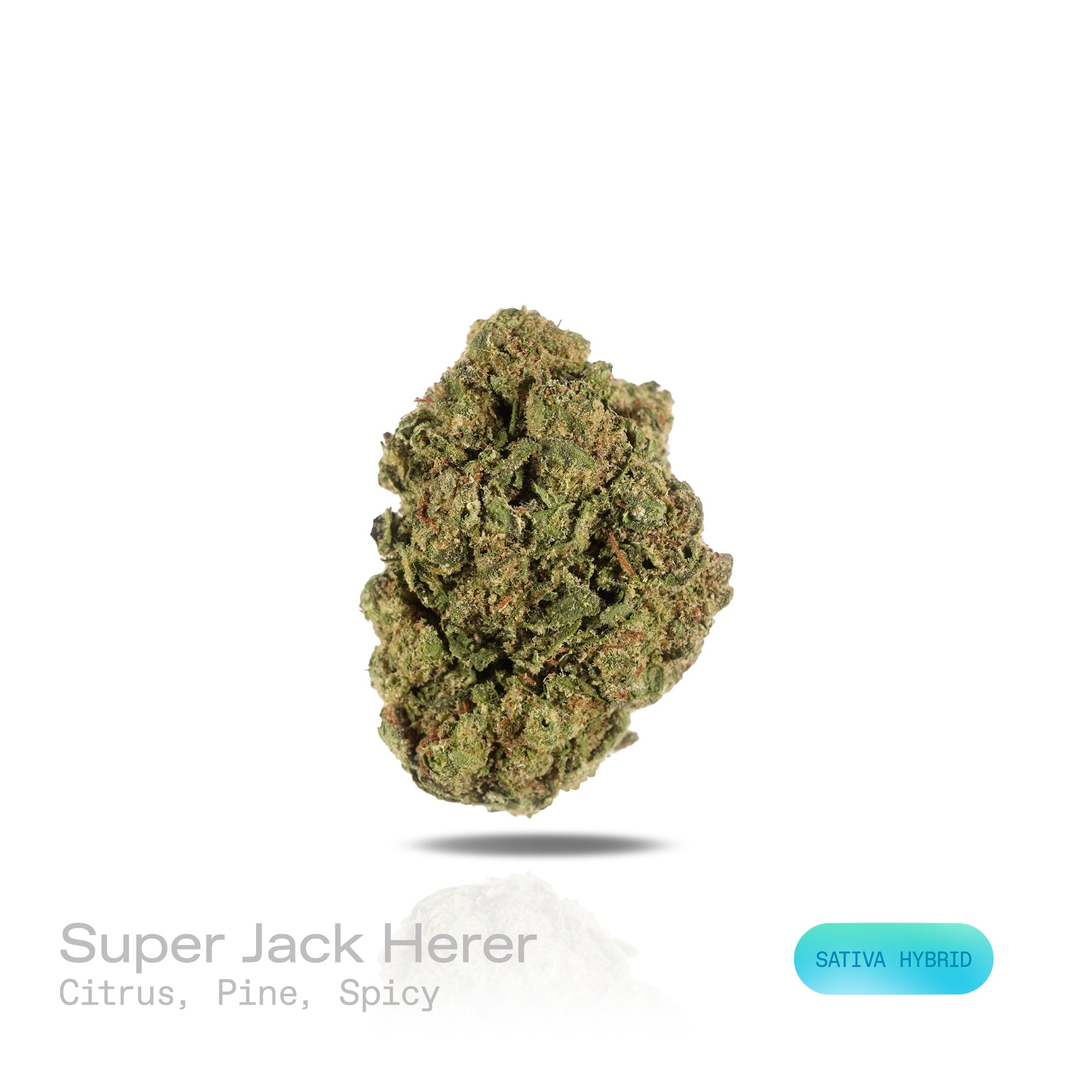 PUFFY Super Jack Herer is a sativa-dominant hybrid THCa strain, born from the legendary cross of Super Silver Haze and Jack Herer. The aroma bursts with bright citrus notes, earthy pine undertones, and a subtle, warming spiciness that lingers on the senses. Visually, the buds are dense and light-green, accented by fiery orange pistils and coated in a sparkling layer of trichomes. Consumers often report a surge of energy that enhances focus, sparks creativity, and makes it an ideal choice for daytime use.