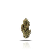 PUFFY THCa Super Jack Herer is a potent sativa strain renowned for its uplifting and energizing effects. Derived from the legendary lineage of Jack Herer and Super Silver Haze, it carries a complex profile of earthy pine and sweet citrus aromas that invigorate the senses. Celebrated for its ability to promote creativity, focus, and an elevated mood, Super Jack Herer is the best daytime companion, helping users stay alert and inspired. Super Jack Herer offers an enjoyable experience for new and seasoned user