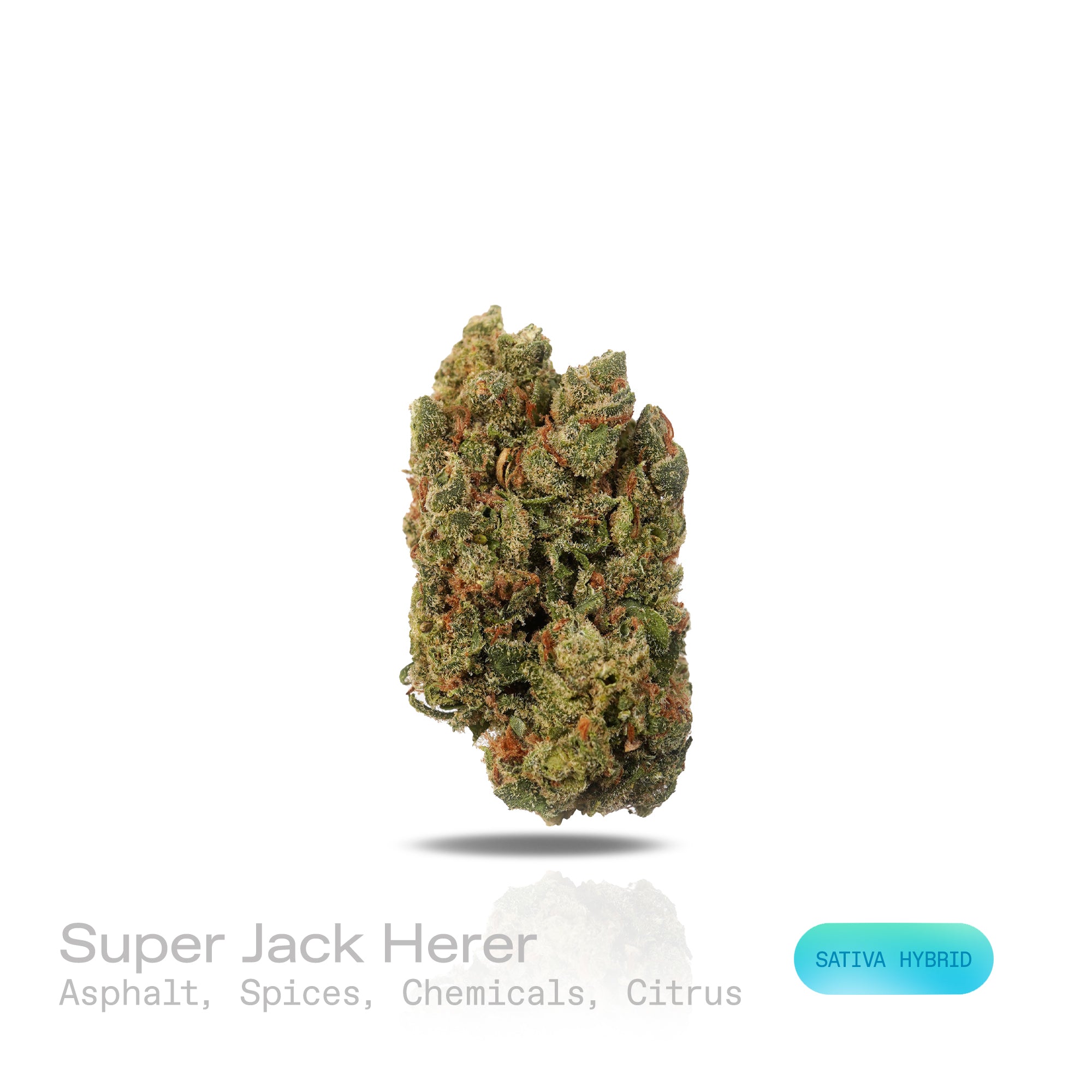 PUFFY Super Jack Herer is a sativa-dominant hybrid THCa strain, born from the legendary cross of Super Silver Haze and Jack Herer. The aroma is a bold fusion of sharp asphalt, warming spices, pungent chemicals, and zesty citrus notes. Visually, the buds are dense and light-green, accented by fiery orange pistils and coated in a sparkling layer of trichomes. Consumers often report a surge of energy that enhances focus, sparks creativity, and makes it an ideal choice for daytime use.

