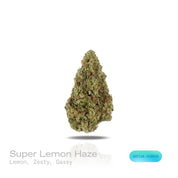 PUFFY Super Lemon Haze is a potent sativa THCa strain, a vibrant cross between Lemon Skunk and Super Silver Haze. The aroma bursts with bright, zesty lemon notes, complemented by a pungent, gassy undertone for a bold and invigorating scent. Visually striking, its dense buds range from deep green to rich purple, generously frosted with sparkling trichomes and accented by vivid orange hairs. Consumers often report that it provides an energizing boost, elevates mood with a sense of euphoria, and sharpens menta