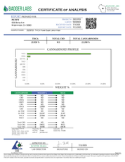 PUFFY Super Lemon Haze is a potent sativa THCa strain, a vibrant cross between Lemon Skunk and Super Silver Haze. The aroma bursts with bright, zesty lemon notes, complemented by a pungent, gassy undertone for a bold and invigorating scent. Visually striking, its dense buds range from deep green to rich purple, generously frosted with sparkling trichomes and accented by vivid orange hairs. Consumers often report that it provides an energizing boost, elevates mood with a sense of euphoria, and sharpens menta