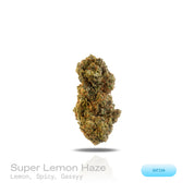 PUFFY Super Lemon Haze is a potent sativa THCa strain, a vibrant cross between Lemon Skunk and Super Silver Haze. The aroma is a sharp blend of diesel and chemical notes, brightened by a zesty hint of lemon that adds a refreshing edge to its intense profile. Visually striking, its dense buds range from deep green to rich purple, generously frosted with sparkling trichomes and accented by vivid orange hairs. Consumers often report that it provides an energizing boost, elevates mood with a sense of euphoria, 