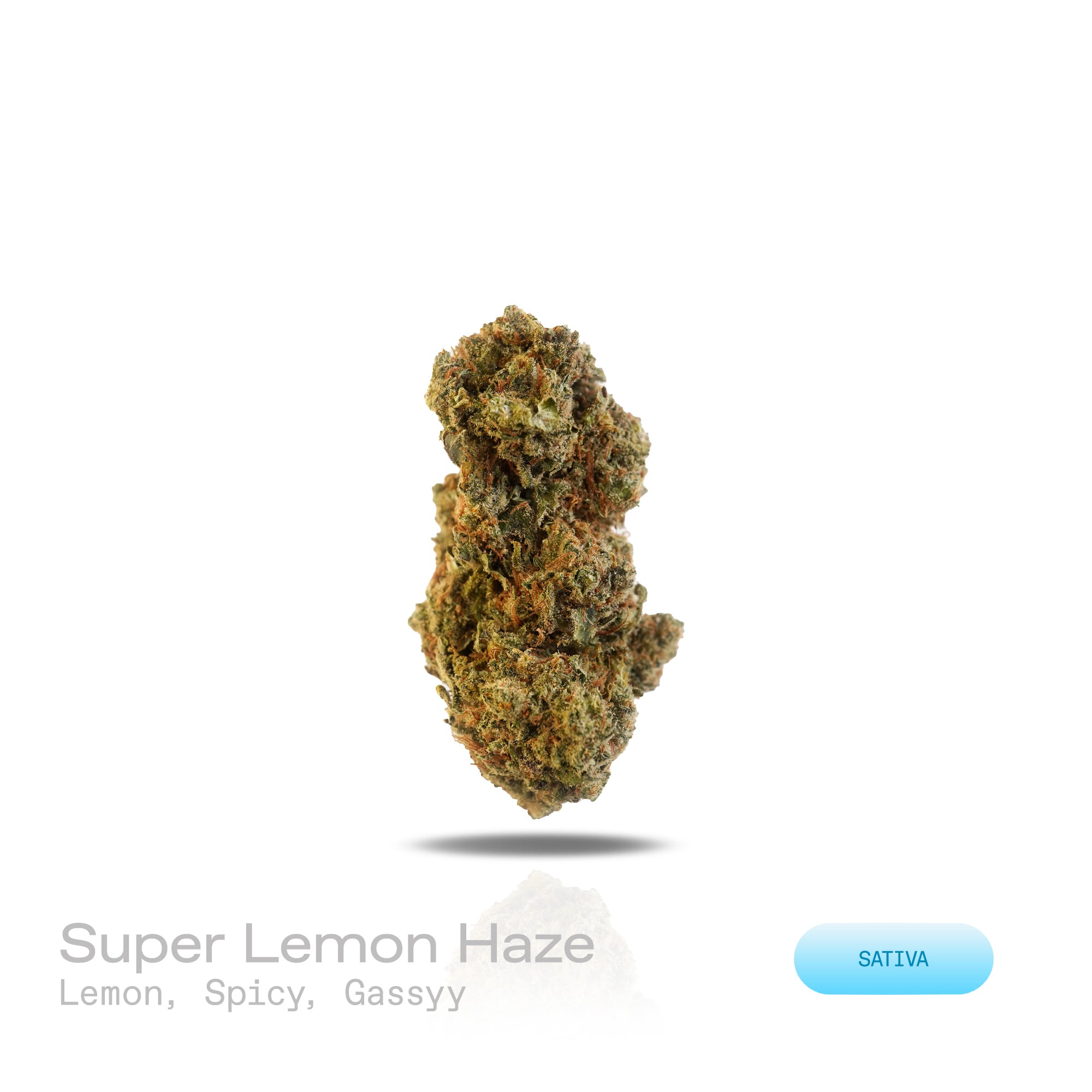PUFFY Super Lemon Haze is a potent sativa THCa strain, a vibrant cross between Lemon Skunk and Super Silver Haze. The aroma is a sharp blend of diesel and chemical notes, brightened by a zesty hint of lemon that adds a refreshing edge to its intense profile. Visually striking, its dense buds range from deep green to rich purple, generously frosted with sparkling trichomes and accented by vivid orange hairs. Consumers often report that it provides an energizing boost, elevates mood with a sense of euphoria, 