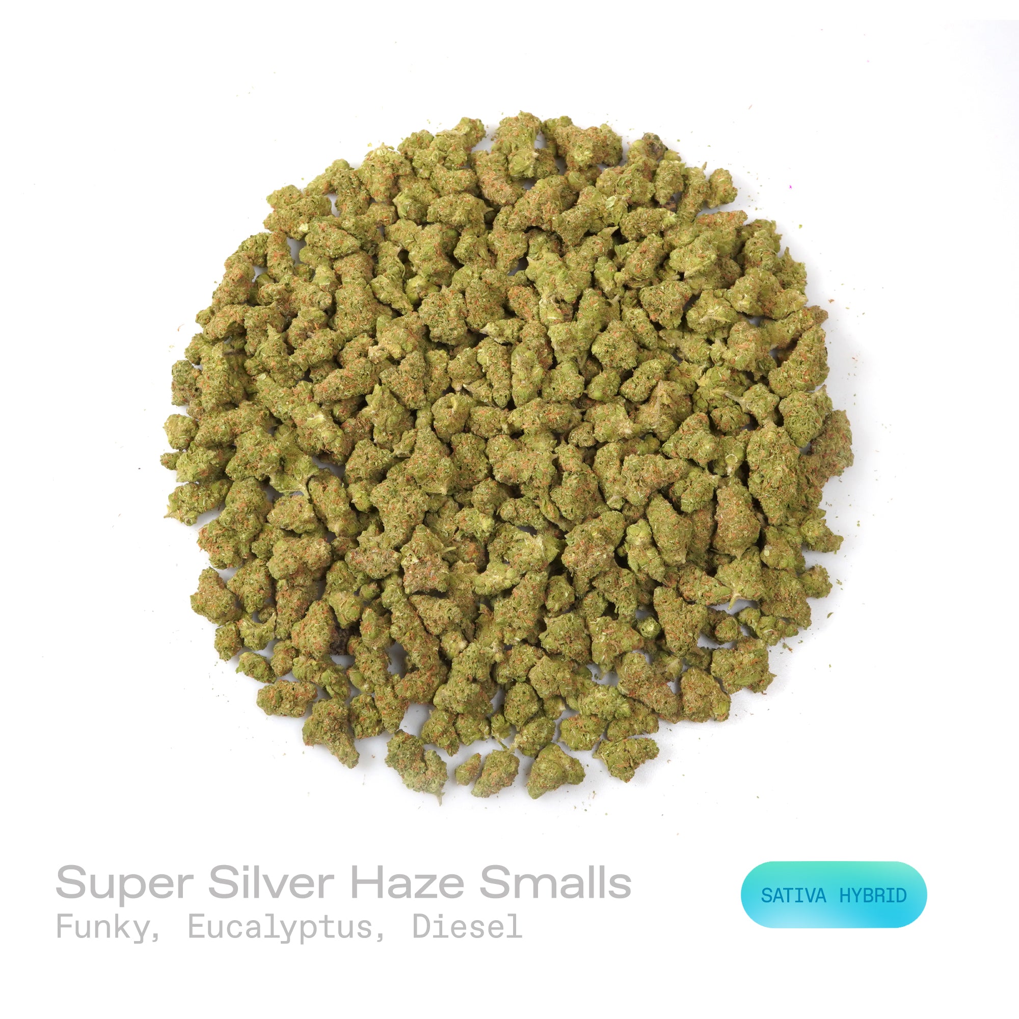 PUFFY Super Silver Haze (smalls) is a sativa-dominant hybrid THCa strain, expertly crafted from a flavorful and legendary three-way cross of Skunk #1, Northern Lights, and Haze. The aroma is a bold blend of funky, refreshing eucalyptus, and sharp diesel notes that immediately capture the senses. Visually, the buds are spade-shaped with a bright lime green hue, accented by fiery orange pistils and coated in a dense layer of silvery-white trichomes. Consumers often describe feeling a surge of energy, heighten