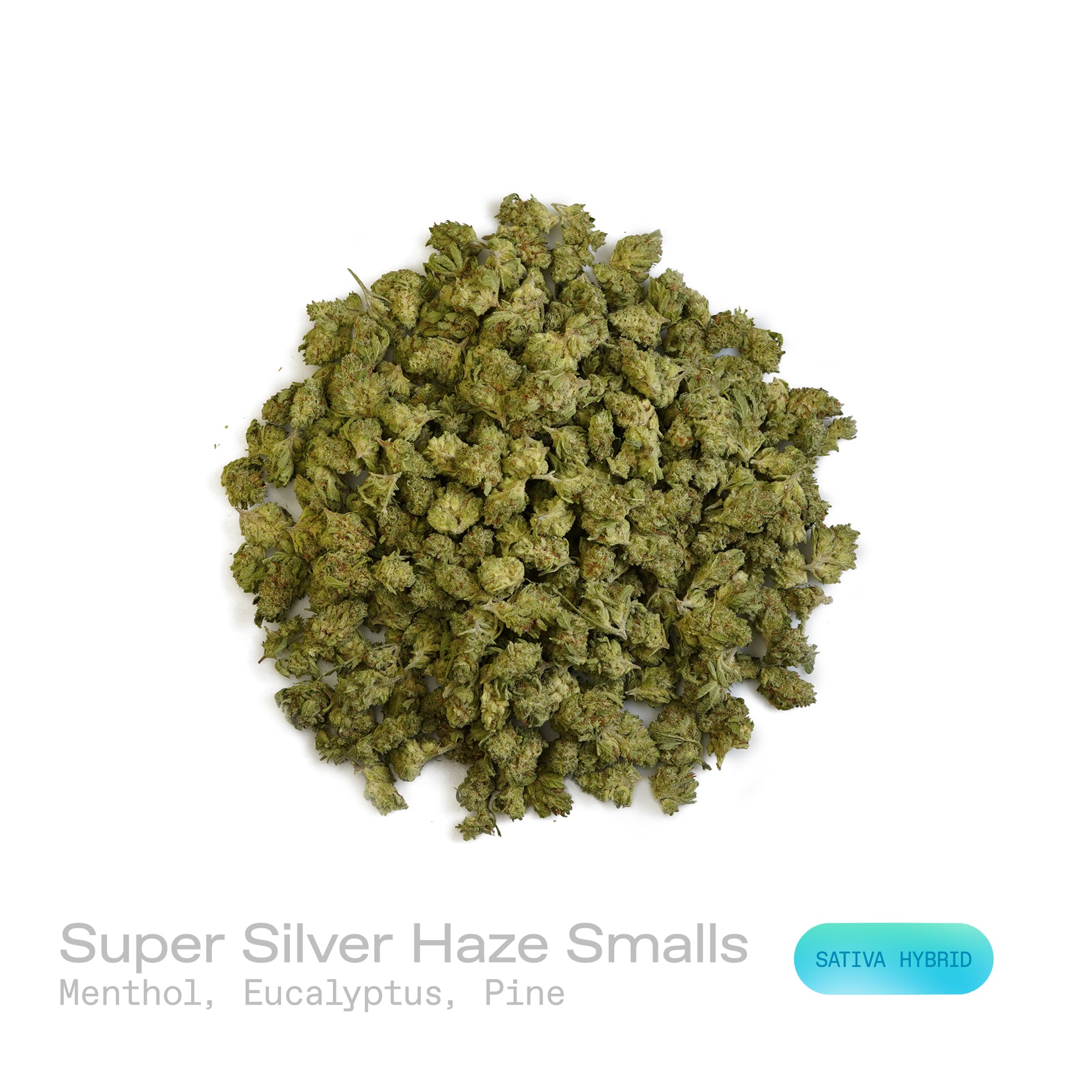 PUFFY Super Silver Haze Smalls is a sativa-dominant hybrid THCa strain, expertly crafted from a flavorful and legendary three-way cross of Skunk #1, Northern Lights, and Haze. The aroma is a refreshing blend of cool menthol and crisp eucalyptus, balanced by the sharp, clean scent of pine. Visually, the buds are spade-shaped with a bright lime green hue, accented by fiery orange pistils and coated in a dense layer of silvery-white trichomes. Consumers often describe feeling a surge of energy, heightened euph