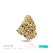 PUFFY Tangelo is a sativa-dominant hybrid THCa strain, born from a powerful cross between Tangerine Sunrise × Gorkle. The aroma bursts with bright, zesty oranges, intertwined with fresh pine notes and a distinctive funky undertone, creating a vibrant and memorable scent profile. Visually, dense green buds with purple hues and fiery orange pistils are coated in sticky trichomes. Consumers often report an uplifting and energizing experience, delivering euphoria, enhanced sociability, heightened creativity, a 