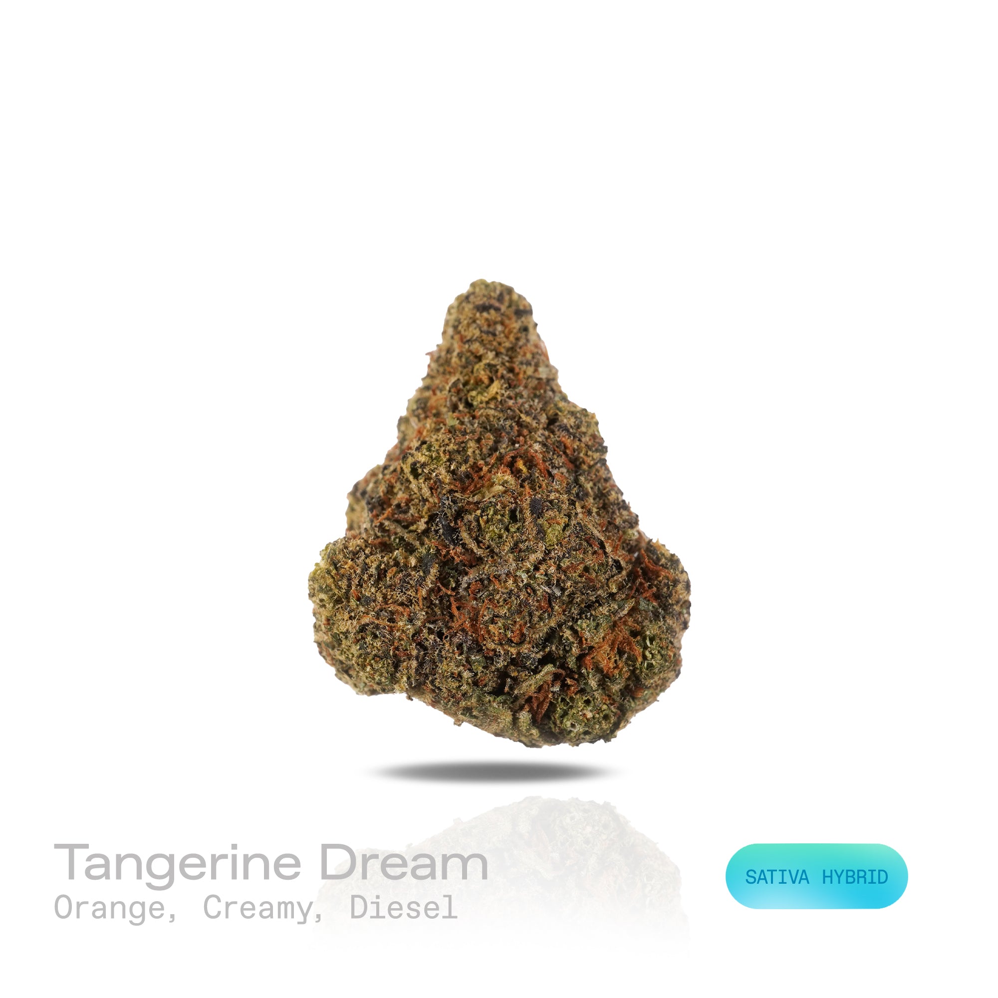 PUFFY Tangerine Dream is a sativa-dominant hybrid THCa strain, born from the masterful cross of Afghani, G13 and Neville’s A5 Haze. The aroma bursts with zesty orange, creamy sweetness, and a sharp hint of diesel. Visually, these dense buds captivate with striking lime green and royal purple hues, vibrant orange pistils, and a sparkling blanket of trichomes. Consumers often report a balanced experience of uplifting euphoria paired with gentle physical relaxation, enhancing creativity, boosting mood, and lea