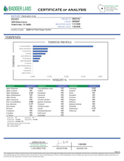 PUFFY The Wiz is a sativa-dominant hybrid THCa strain hailing from the legendary OG Kush lineage. The aroma opens with bright, zesty lemon notes layered over a rich earthy base, finished with a mouthwatering, juicy freshness that instantly draws you in. Visually, dense light-green buds showcase subtle purple hues and fiery orange pistils, all lavishly coated in a thick layer of sticky, glistening trichomes. Consumers often report a powerful cerebral head rush that delivers uplifting, energizing, and euphori