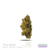 PUFFY Thin Mint is an indica-dominant hybrid THCa strain crafted from the flavorful cross of Durban Poison and OG Kush. The aroma is a rich blend of spicy, earthy, and musky notes, creating a warm and intoxicating scent that lingers in the air. Visually striking, the dense buds blend forest green and royal purple with fiery orange pistils and a frosty layer of trichomes that hint at potent effects. Consumers often describe an experience that begins with euphoric, mentally stimulating effects, boosting mood 