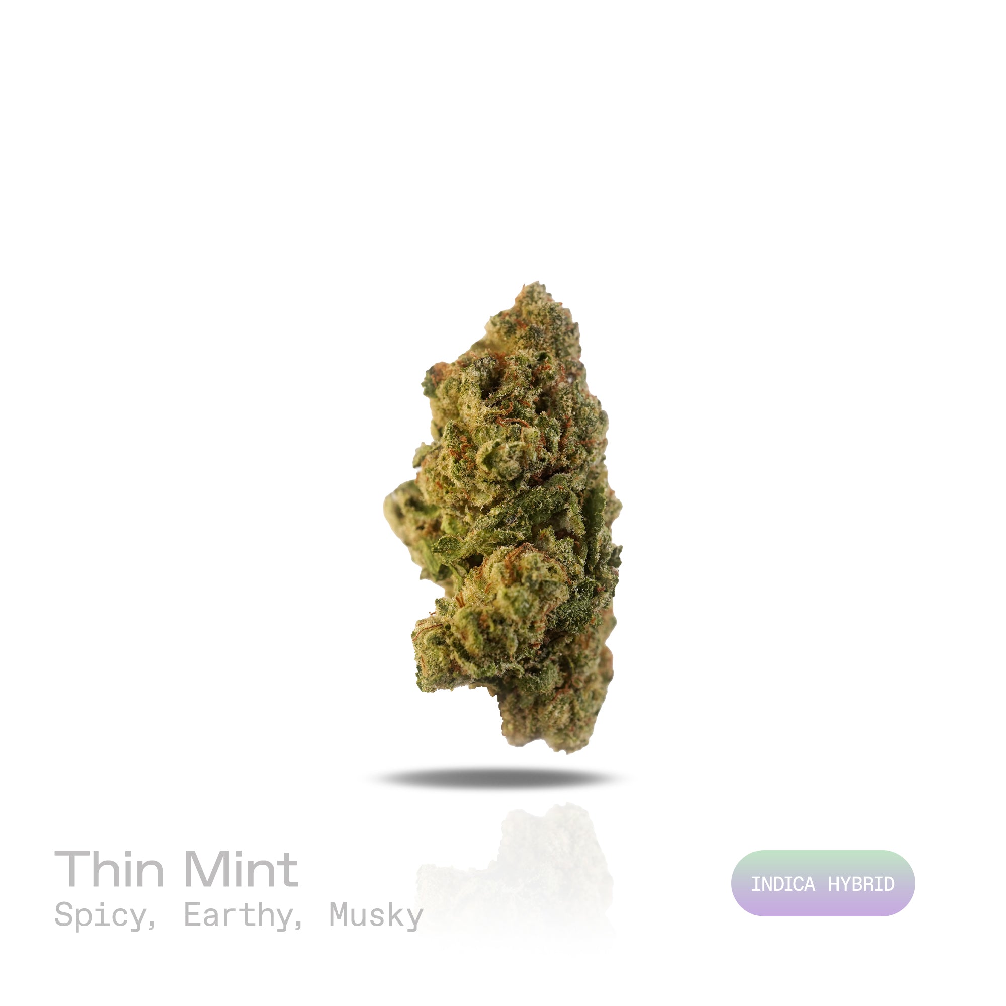 PUFFY Thin Mint is an indica-dominant hybrid THCa strain crafted from the flavorful cross of Durban Poison and OG Kush. The aroma is a rich blend of spicy, earthy, and musky notes, creating a warm and intoxicating scent that lingers in the air. Visually striking, the dense buds blend forest green and royal purple with fiery orange pistils and a frosty layer of trichomes that hint at potent effects. Consumers often describe an experience that begins with euphoric, mentally stimulating effects, boosting mood 