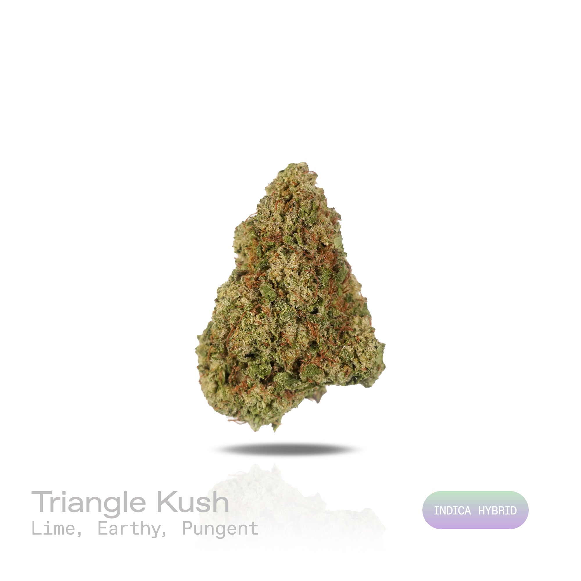 PUFFY Triangle Kush is an indica-dominant hybrid THCa strain, born from a powerful cross between Florida OG Kush and Hindu Kush. The aroma bursts with zesty lime notes, grounded by earthy undertones and a bold, pungent finish that lingers enticingly. Visually, dense deep green buds with purple hues and fiery orange pistils are coated in sticky trichomes. Consumers frequently describe effects that begin with a calming body sensation that helps ease stress and anxiety, followed by an uplifting cerebral high t