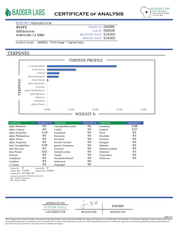PUFFY Tropical Cherry is a sativa-dominant hybrid THCa strain, typically bred by crossing Tropicana Cookies with Cherry Cookies. The aroma bursts with sweet, fruity notes layered with juicy, tropical richness, creating an inviting and refreshing scent. Visually, the buds are dense and oversized, showcasing deep purple and green tones accented by bright orange pistils and a frosty trichome layer. Consumers often report a vibrant, uplifting high that boosts mood, sparks creativity, and enhances focus while of