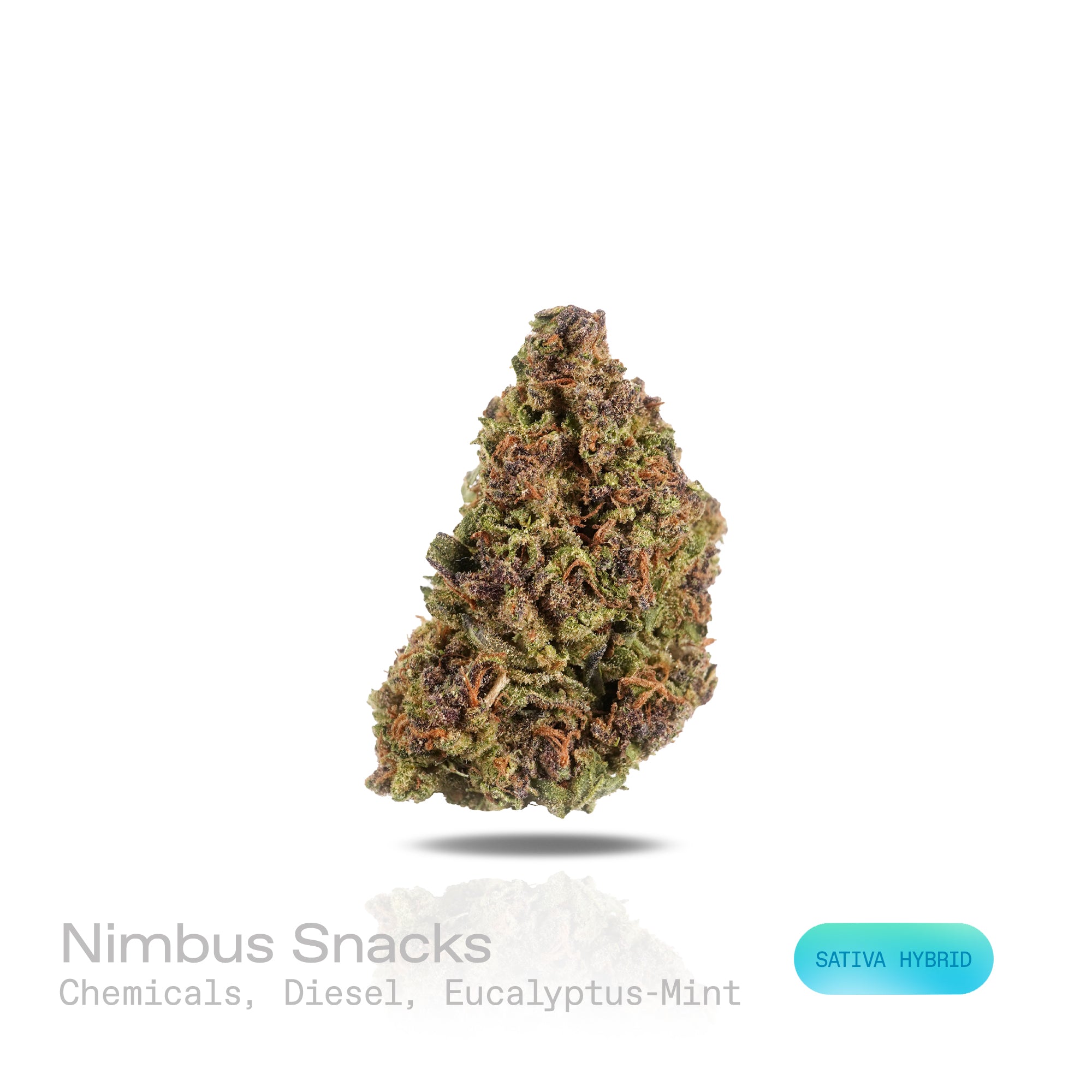 PUFFY Nimbus Snacks is a sativa-dominant hybrid THCa strain, born from the legendary cross of Durban Mints x Girl Scout Cookies . The aroma bursts with sharp notes of chemicals and diesel, complemented by a refreshing hint of eucalyptus and mint. Visually, dense green buds with purple hues and fiery orange pistils are coated in sticky trichomes. Consumers often report experiencing a euphoric sense of well-being, accompanied by feelings of happiness and uplifted spirits, while also feeling energized, focused