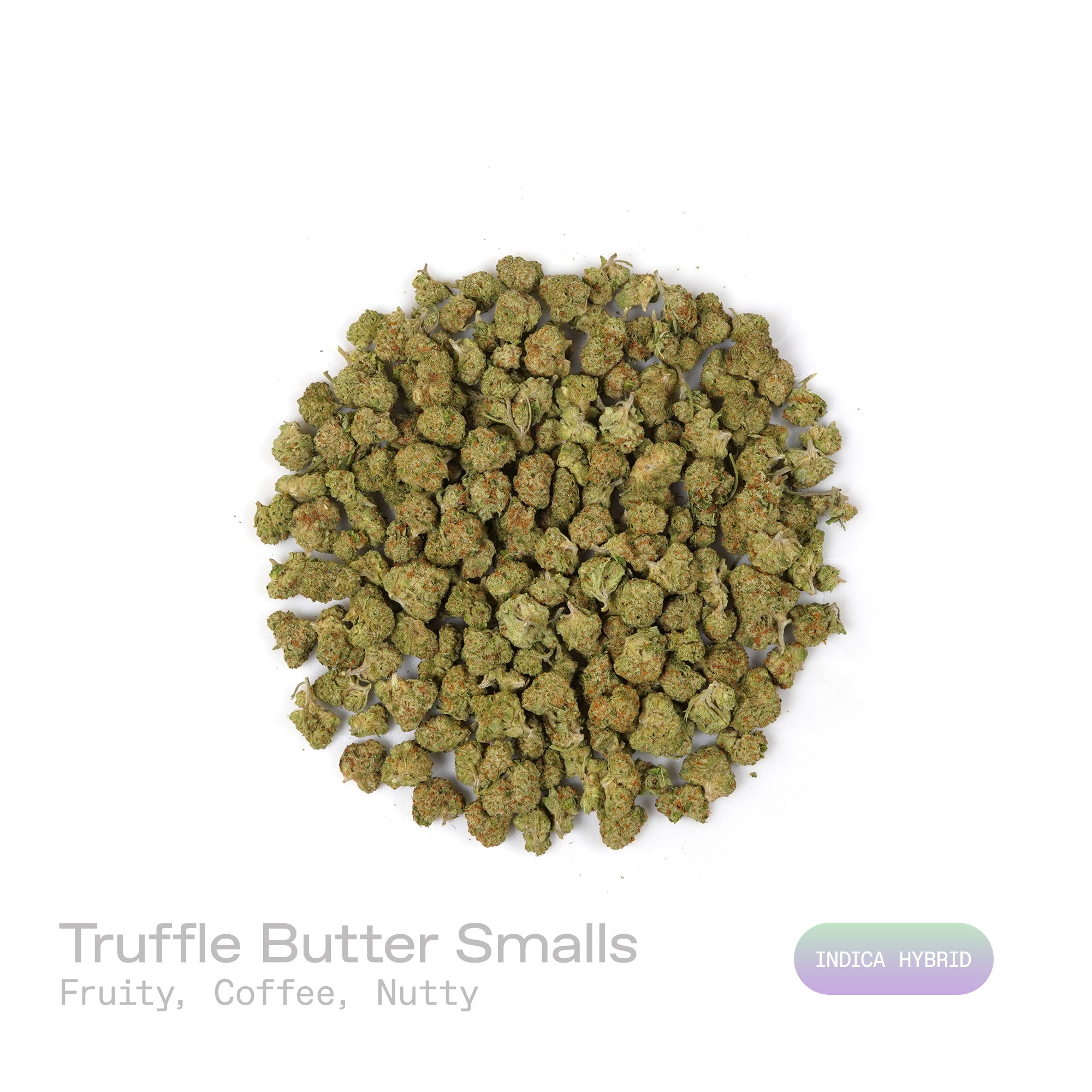 PUFFY Truffle Butter (smalls) is an Indica-dominant hybrid THCa strain, born from the flavorful cross of Gelato and Chocolate Kush. The aroma unfolds in a vibrant mix of fruity notes balanced by deep coffee richness and a gentle nutty twist. Visually, the buds are dense and striking, showcasing a deep forest-green base with vibrant purple hues, bright orange pistils, and a sparkling coating of trichomes. Consumers often report an initial burst of euphoria and uplifted mood, gradually giving way to deep phys