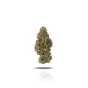 PUFFY THCa Truffle Cake is an indulgent hybrid strain that is believed to come from the cross of Gorilla Butter F2 and Pancakes, offering a rich flavor profile. Known for its sweet, earthy notes that tantalize the senses, Truffle Cake delivers a calming yet stimulating experience that can enhance creativity and mood. Users often experience a comforting body high paired with mental clarity, suitable for both social gatherings and quiet evenings.
