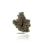PUFFY Truffle Pop THCA is a standout sativa hybrid made by crossing Red Pop and Tropical Truffles.The strain features dense, eye-catching buds with bright orange pistils and a thick layer of trichomes. Truffle Pop's aroma and flavor are equally impressive, combining sweet tropical fruit notes with refreshing hints of pine and citrus for a truly invigorating experience. Users reported that it has vibrant and uplifting effects that energizes both mind and body.