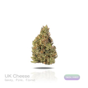 PUFFY UK Cheese is an indica-dominant hybrid THCa strain, renowned for its roots it showcases either a classic Skunk #1 expression or subtle hints of its iconic heritage. The aroma is a captivating blend of gassy, pine, and floral notes, creating a bold yet refreshing sensory experience. Visually, dense green buds with purple hues and fiery orange pistils are coated in sticky trichomes. Consumers often report euphoric, happy, and uplifted sensations paired with a relaxed, energetic feel that engages both th
