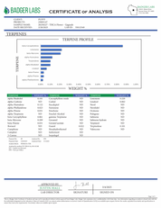 PUFFY Upgrade is a premium hybrid THCa strain, expertly crafted from a cross between Ice Cream Cake and Gush Mints. It boasts a rich, dessert-like flavor with notes of vanilla, creamy mint, and subtle earthy spice, while its aroma enchants the senses with a blend of sugary sweetness and refreshing mint. Users report that Upgrade delivers a soothing wave of relaxation while simultaneously uplifting mood and sparking creativity. Many describe feeling relaxed, inspired, and blissfully uplifted, making it a go-