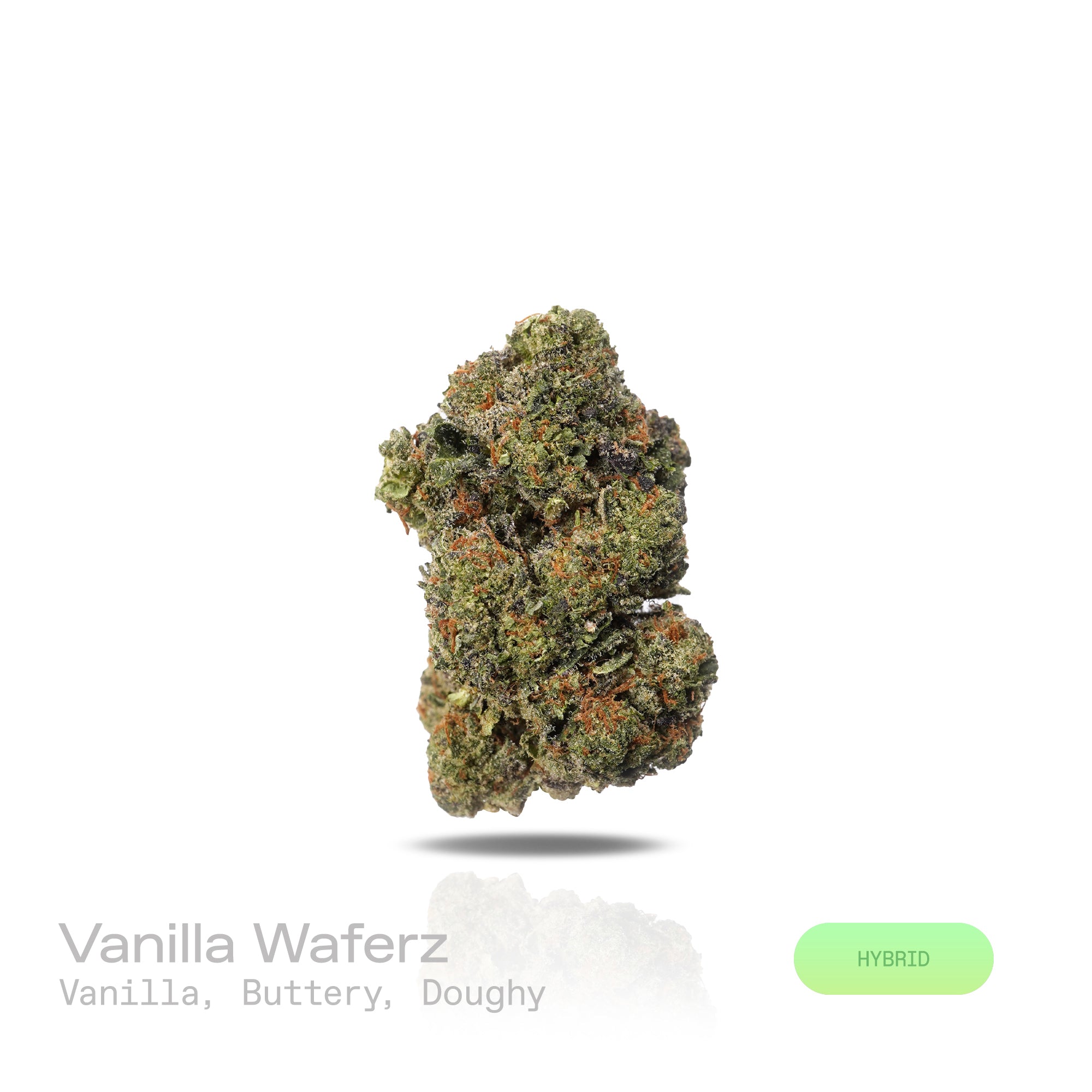 PUFFY Vanilla Waferz is a balanced hybrid THCa strain, created from the fusion of Wedding Cake and Sundae Driver. The aroma offers a warm blend of sweet vanilla and rich butter, rounded out by a soft, doughy scent reminiscent of fresh baked goods. Visually, the buds are dense with vibrant green hues, accented by bright orange pistils and a sparkling layer of white crystalline trichomes. Consumers often report a gradual onset that begins with uplifting euphoria and mental calm, followed by soothing body rela