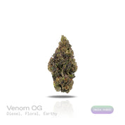 PUFFY Venom OG is an indica-dominant THCa strain, born from the powerful cross of Poison OG and Rare Dankness #1. The aroma greets you with a bold blend of diesel, delicate floral notes, and rich earthy undertones, creating a captivating sensory experience. Visually striking, this strain showcases dense forest-green buds kissed with deep purple hues, fiery orange pistils, and a sparkling layer of sticky, resinous trichomes. Consumers often report a soothing body high paired with elevated mood, bringing feel