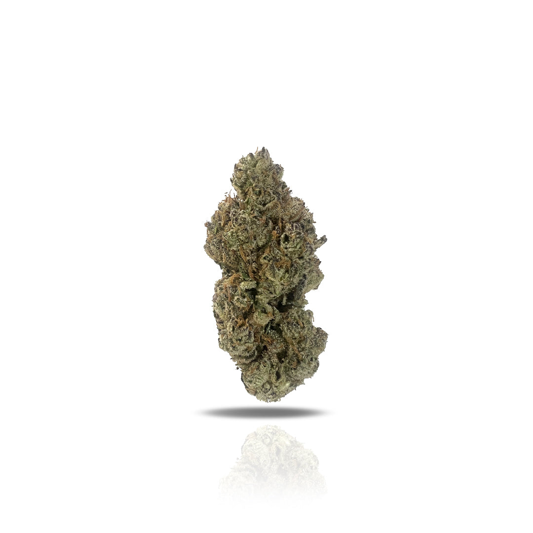 PUFFY Watermelon, also known as "Watermelon Kush" and "Watermelon OG," is an indica THCa strain with mysterious lineage, created by crossing two unknown parent strains. Users report that Watermelon offers deeply relaxing effects, making it a popular choice for aiding sleep or stimulating appetite.True to its name, this strain features a unique fruity flavor profile bursting with watermelon notes, complemented by hints of grape and subtle hashy undertones, delivering a flavorful and soothing experience.
