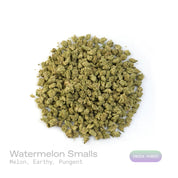 PUFFY Watermelon (smalls) is an indica-dominant hybrid THCa strain, bred from the renowned cross of Watermelon x Kush genetics. The aroma greets the senses with sweet, juicy melon notes, layered over a rich earthy base and accented by sharp, pungent undertones. Visually, the buds are thick and well-formed, showcasing dark green tones with streaks of purple, fiery orange pistils, and a sparkling coat of trichomes. Consumers often describe a calming, full-bodied high that lifts the mood while easing tension, 