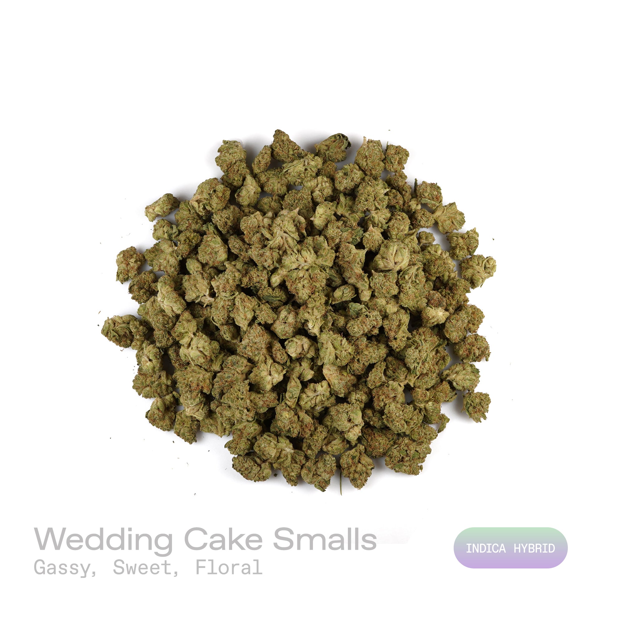 PUFFY Wedding Cake (smalls) is an indica-dominant hybrid THCa strain created by crossing Triangle Cherry Pie and Girl Scout Cookies (GSC). The aroma is a captivating mix of pungent gas, layered with sweet undertones and delicate floral accents for a balanced yet striking profile. Visually, the buds are dense and vibrant, with forest green and purple hues coated in frosty trichomes and bright orange pistils. Consumers often report a euphoric, uplifted mood paired with a relaxing body high, along with a creat