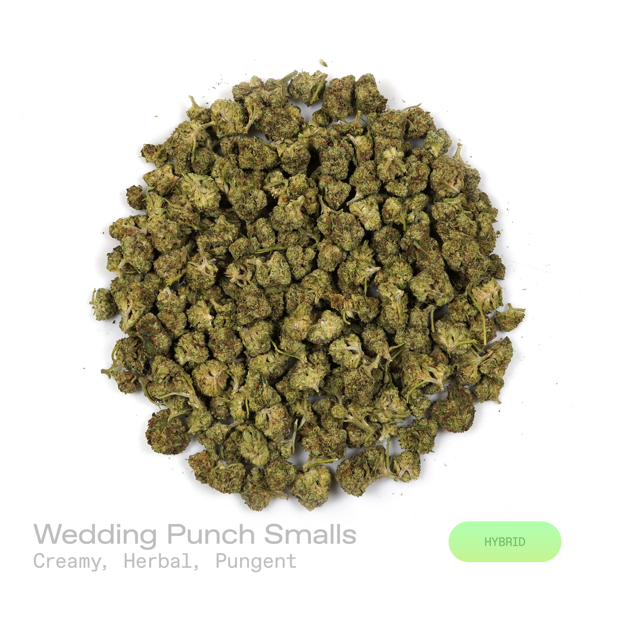 PUFFY Wedding Punch (smalls) is a balanced hybrid THCa strain, created by crossing Wedding Cake and Purple Punch. The aroma is a rich blend of creamy, herbal, and pungent notes, creating a deeply inviting and distinctive scent. Visually, dense deep green buds with purple hues and fiery orange pistils are coated in sticky trichomes. Consumers often report a soothing sense of relaxation paired with mental clarity, accompanied by an uplifted mood and happy, euphoric sensations.