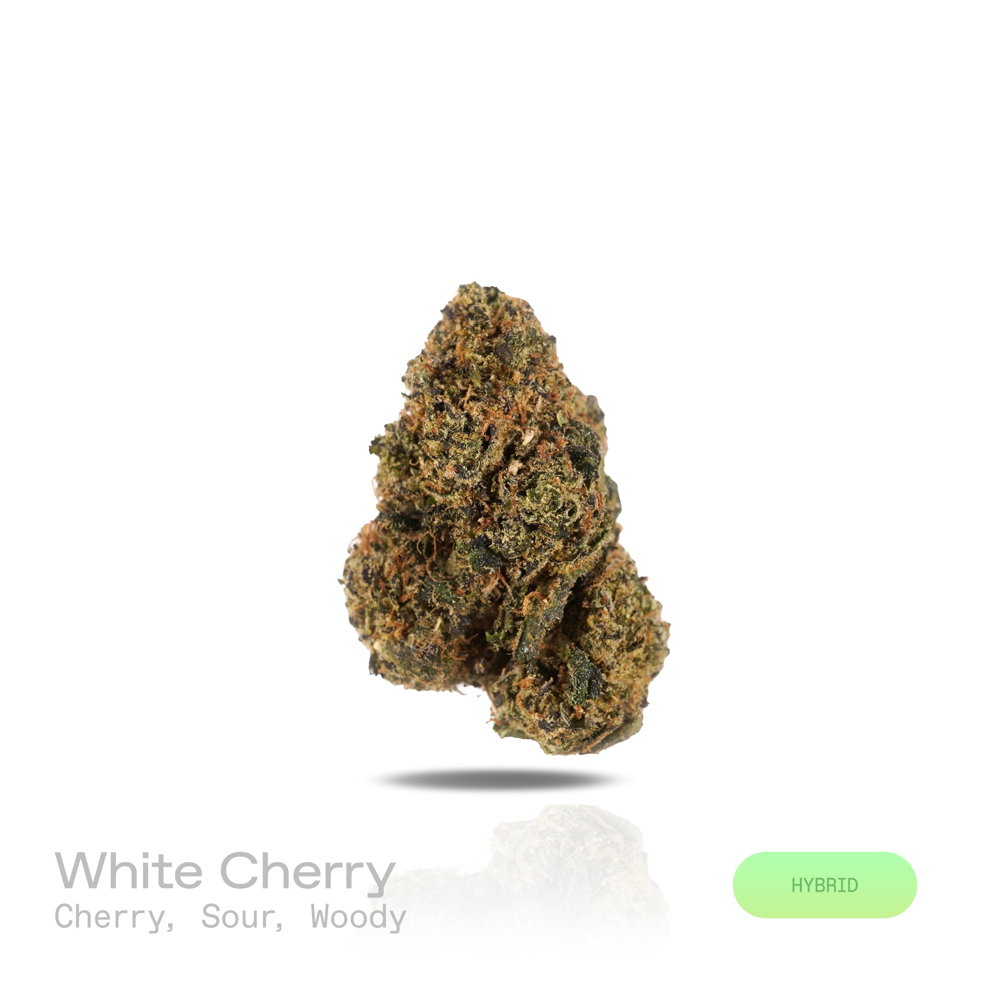 PUFFY White Cherry is a balanced hybrid THCa strain, crafted from the exceptional lineage of Cherry OG and The White. The aroma is a vibrant blend of tart cherry, tangy sourness, and subtle woody undertones. Visually, the buds are dense and striking, featuring lush green and deep purple hues, vibrant orange pistils, and a sparkling layer of trichomes. Consumers often report balanced cerebral and body effects, experiencing pleasant euphoria and relaxation, making it popular recreationally for mood uplift.