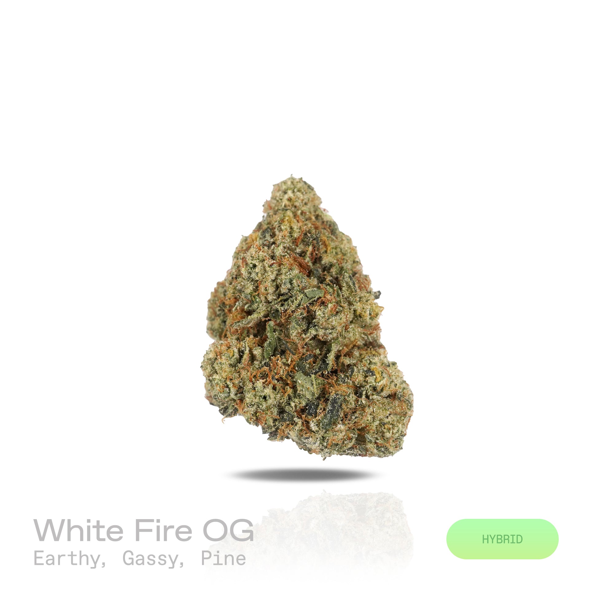 PUFFY White Fire OG is a balanced hybrid THCa strain, crafted from the legendary lineage of Fire OG and The White. The aroma greets the senses with earthy undertones, sharp pine notes, and a distinctive gassy punch. Visually, dense light-green buds with hints of purple, bright orange pistils, and a thick coating of sparkling trichomes. Consumers often experience an immediate spark of mental clarity and creative energy that gently flows into a calming, tension-relieving body high.
