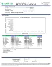 PUFFY White Lobster is a potent hybrid THCa strain born from the powerful cross between Planet Dosi 17 and Ghostface OG. The aroma is rich and gassy, with pungent undertones and a fresh, piney finish.  Visually, the buds are dense and trichome-coated, giving off a frosty, white appearance that reflects the strain’s high potency. Consumers commonly report a euphoric high that is predominantly relaxing yet mentally uplifting, making it an excellent choice for stress relief and mood enhancement.