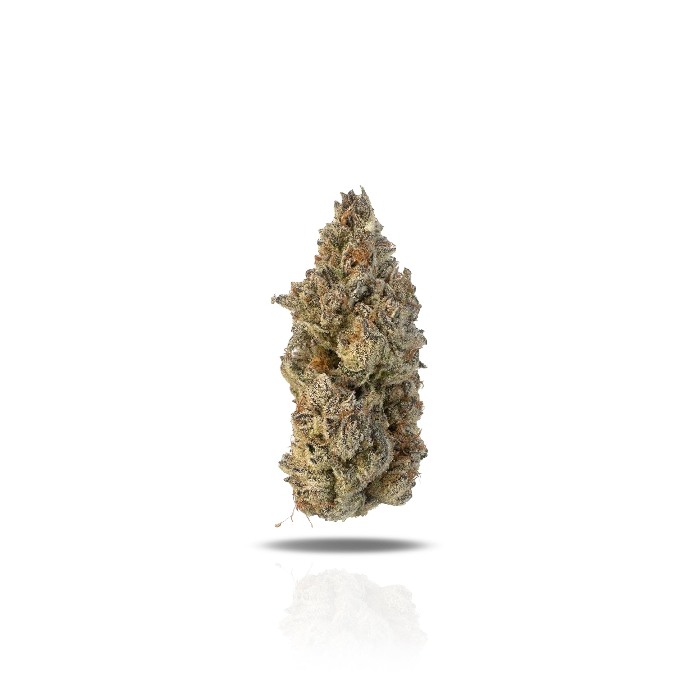 PUFFY White Lobster is a potent hybrid THCa strain born from the powerful cross between Planet Dosi 17 and Ghostface OG. The aroma is gassy and pungent, with a flavor that mirrors its bold scent, delivering a strong and lingering taste experience.  Visually, the buds are dense and trichome-coated, giving off a frosty, white appearance that reflects the strain’s high potency. Consumers commonly report a euphoric high that is predominantly relaxing yet mentally uplifting, making it an excellent choice for str