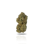Puffy White Lotus is an indica-dominant hybrid THCa strain resulting from a cross between The White and Snow Lotus. The aroma is a bold medley of funk, ripe peaches, and pungent blue cheese, perfectly mirroring the strain’s complex and unforgettable flavor. Visually, the buds are striking: medium-sized and dense with a light minty-green hue, adorned with olive-toned sugar leaves, fiery orange pistils, and a thick, milky-white layer of trichomes that give it a frosted appearance. Consumers often report that 