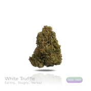 PUFFY White Truffle is an indica-dominant hybrid THCa strain, crafted from the legendary lineage of Gorilla Butter, a standout phenotype of Gorilla Glue #4 × Peanut Butter Breath. The aroma carries earthy undertones, blended with a doughy richness and subtle herbal notes. Visually striking, these medium-sized buds glisten under a thick frost of white trichomes, with vibrant orange pistils winding through deep green and purple tones. Consumers often report a wave of euphoria that lifts mood and sharpens focu