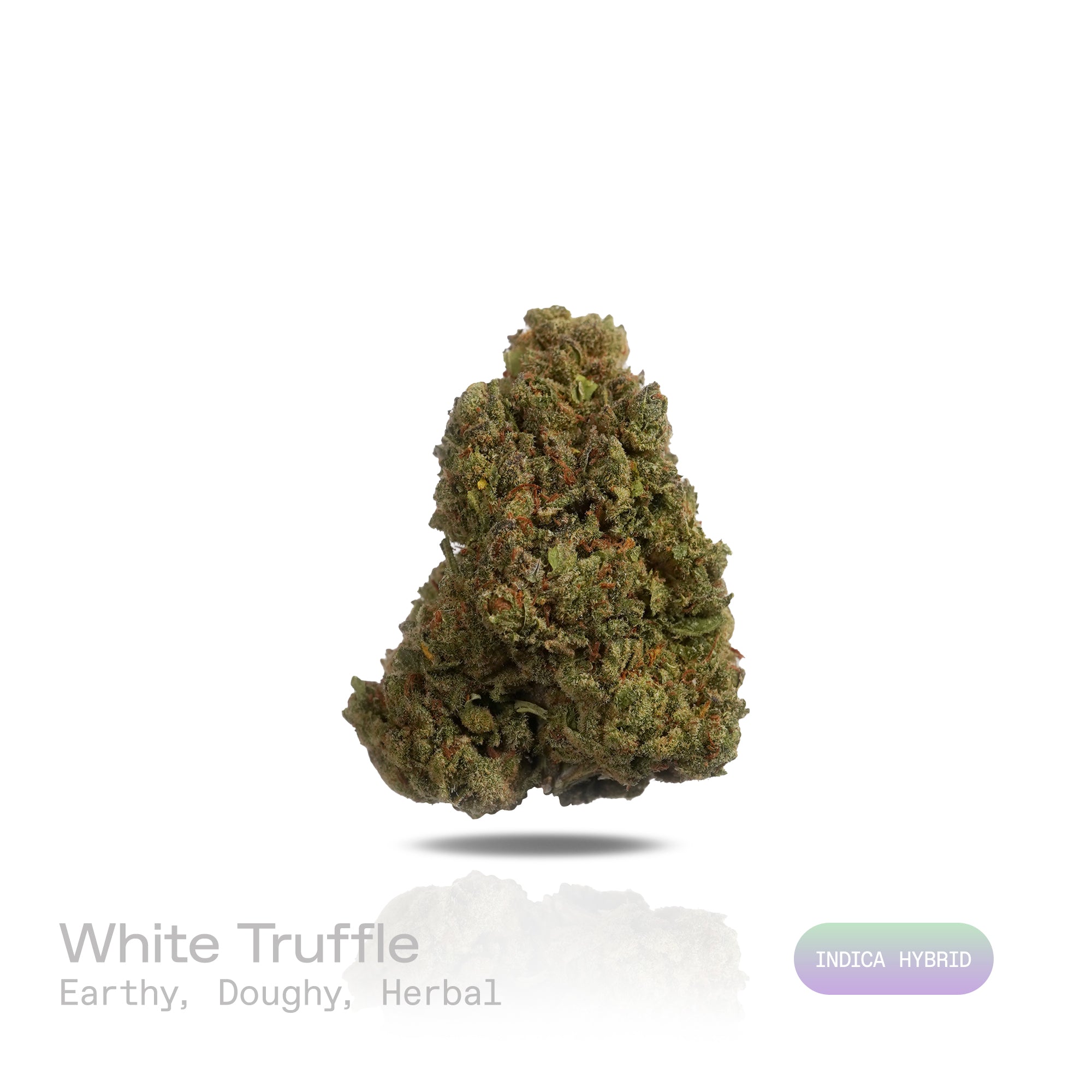 PUFFY White Truffle is an indica-dominant hybrid THCa strain, crafted from the legendary lineage of Gorilla Butter, a standout phenotype of Gorilla Glue #4 × Peanut Butter Breath. The aroma carries earthy undertones, blended with a doughy richness and subtle herbal notes. Visually striking, these medium-sized buds glisten under a thick frost of white trichomes, with vibrant orange pistils winding through deep green and purple tones. Consumers often report a wave of euphoria that lifts mood and sharpens focu