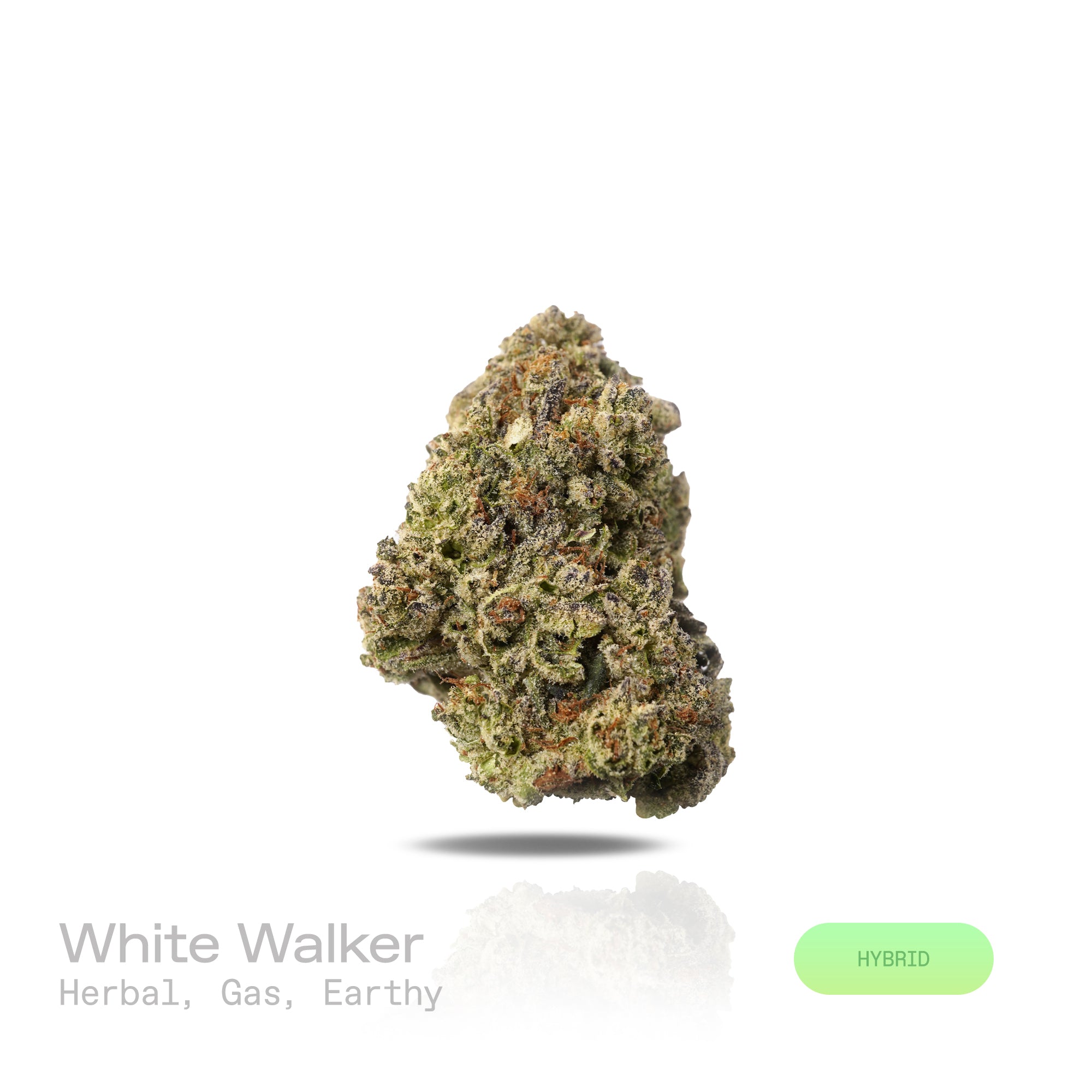PUFFY White Walker is a balanced hybrid THCa strain, born from the potent cross between White Widow and Skywalker. The aroma carries a bold mix of herbal freshness, deep earthy tones, and a sharp gassy edge. Visually striking, dense mint-green buds shimmer with frosty trichomes and bright orange hairs. Consumers often report feeling uplifted, euphoric, and happy, with bursts of energy and sparks of creativity. 
