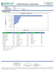 PUFFY XXX OG THCa crafted from a genetic cross of OG Kush and XXX. It is a potent indica strain known for its deeply relaxing effects. Its bulky, conic buds are coated in a thick, white layer of oozing trichomes, exuding a rich blend of earthy pine and zesty lemon aromas reminiscent of fresh tree sap. Consumers reported that in small doses, XXX OG delivers a balanced experience—offering mild sedation while maintaining mental clarity and physical energy. However, as the dosage increases, deep relaxation take