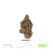 PUFFY Yakuza is a balanced hybrid THCa strain, expertly bred by crossing the iconic Gushers (TK41) with Sunset Sherbert BX. The aroma is a delightful blend of ripe berries, sweet undertones, and a warm touch of vanilla, creating a rich and inviting fragrance. Visually, the buds are dense and vibrant, showcasing a mix of green and purple hues, adorned with bright orange pistils and a heavy coating of sparkling crystalline trichomes. Consumers often report feeling uplifted, creatively inspired, and sharply fo