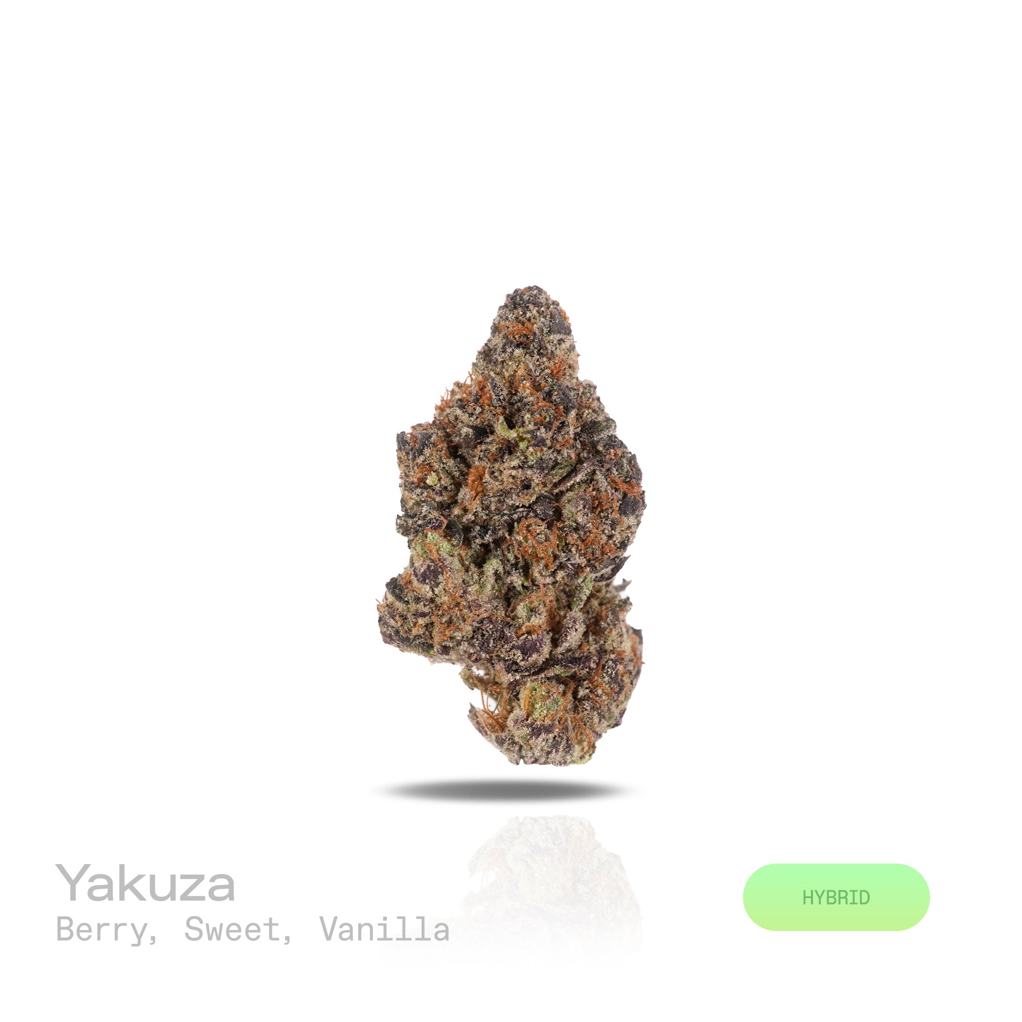 PUFFY Yakuza is a balanced hybrid THCa strain, expertly bred by crossing the iconic Gushers (TK41) with Sunset Sherbert BX. The aroma is a delightful blend of ripe berries, sweet undertones, and a warm touch of vanilla, creating a rich and inviting fragrance. Visually, the buds are dense and vibrant, showcasing a mix of green and purple hues, adorned with bright orange pistils and a heavy coating of sparkling crystalline trichomes. Consumers often report feeling uplifted, creatively inspired, and sharply fo